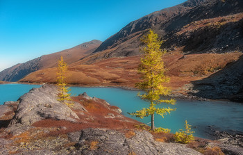Mountain autumn colors ... / ***