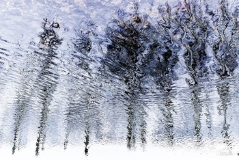 Spiegelung / ***