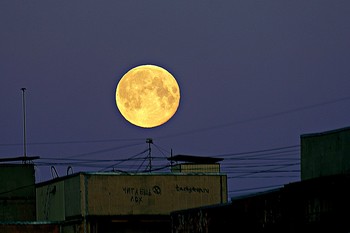 Moonlight night / ***