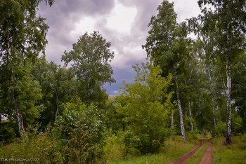 Weg / ...