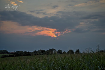 Es ist Zeit nach hause zu gehen, meine Freunde... / Sonnenuntergang nach einem warmen Tag.