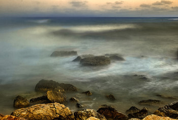surf / ***