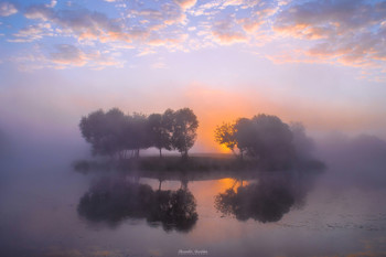 wakening / ...