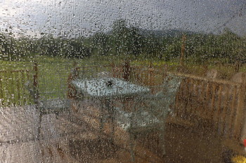 Nach dem Regen / ***