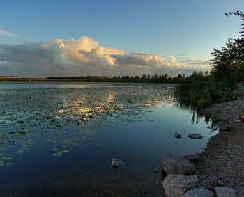 Evening / ***