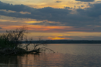 Over the Volga / ***