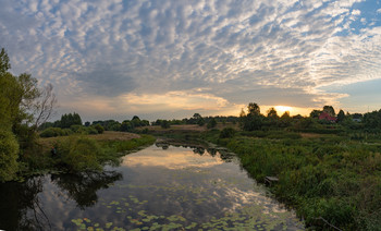 August dawn / ***