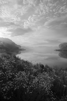 Am Teich / ***