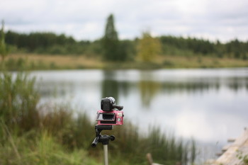 Sony and Panasonic / ***