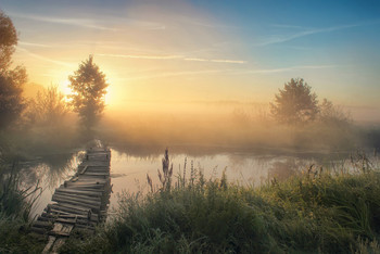 &nbsp; / ------------------