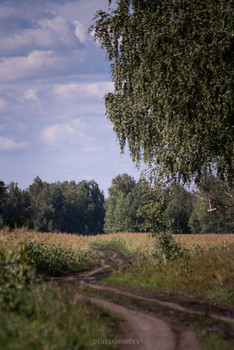 Between fields / ***