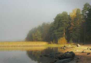 Nebel und Sonne / ***