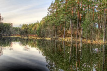Reflection / ***
