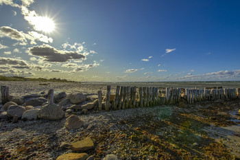 Beach Baltic Sea / Dänemark Ostsee