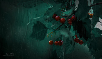 &nbsp; / )))))))))))(((((((((((