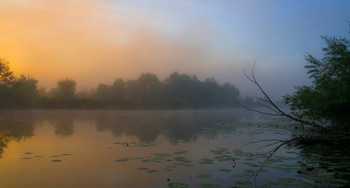 Cold morning / ***