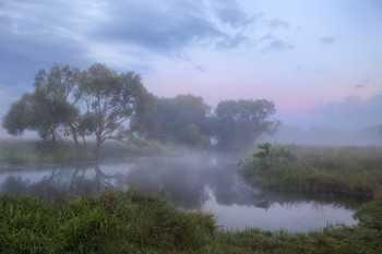 &nbsp; / -----------------