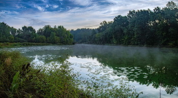 Autumn morning. / ***