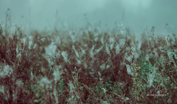 Web / https://web.facebook.com/evgeniy.vagouro/

https://www.instagram.com/vaguro_v_u_v/