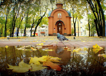 November / ***