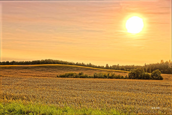 Before sunset. / ***