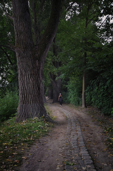 Der Jogging-Weg / ***