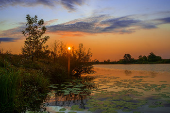 Herbst Morgengrauen. / ***