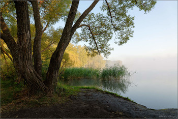 Morgennebel / ***