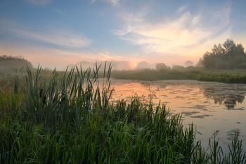 Sunrise / ***