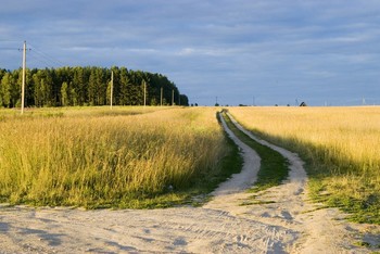 The roads we take / ***