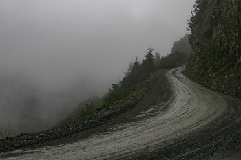 The roads we take / ***