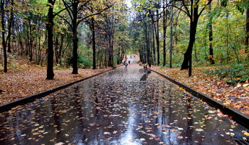 The roads we take / ***
