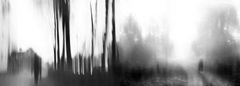 The roads we take / ...