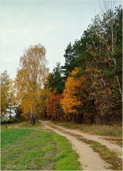 The roads we take / [img]https://i.imgur.com/2YJpurr.jpg[/img]