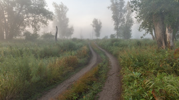The roads we take / ***