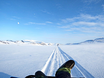 The roads we take / ***