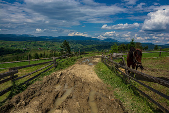 The roads we take / ***