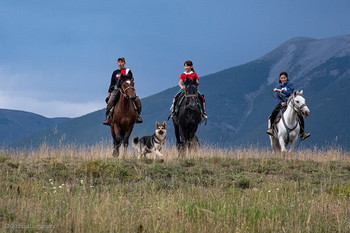 In Kurai steppe / ***