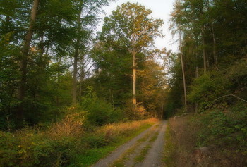 Mit den ersten Strahlen / ***