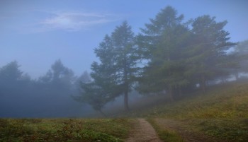 Fog / ***