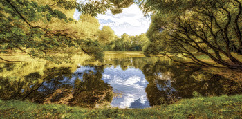 Pond. / ***