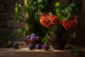 Herbst  kommt bald / ***