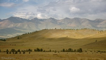 Kurai steppe / ***