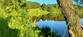 Der letzte Sommer / ...