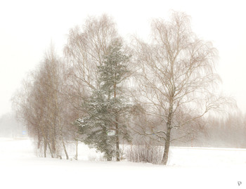 The first snow storm / ***