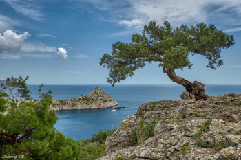 Cape Kapchik / ***