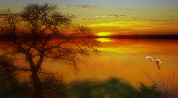 Morgendämmerung / ***