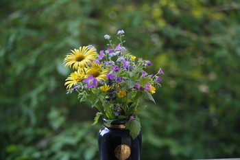 Sommerblumenstrauß / ***
