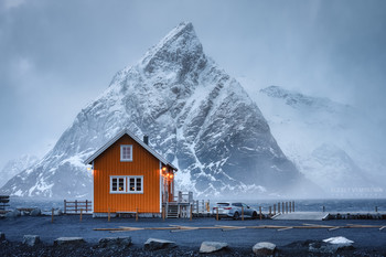 Winter mood / ***