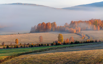 Autumn / ***
